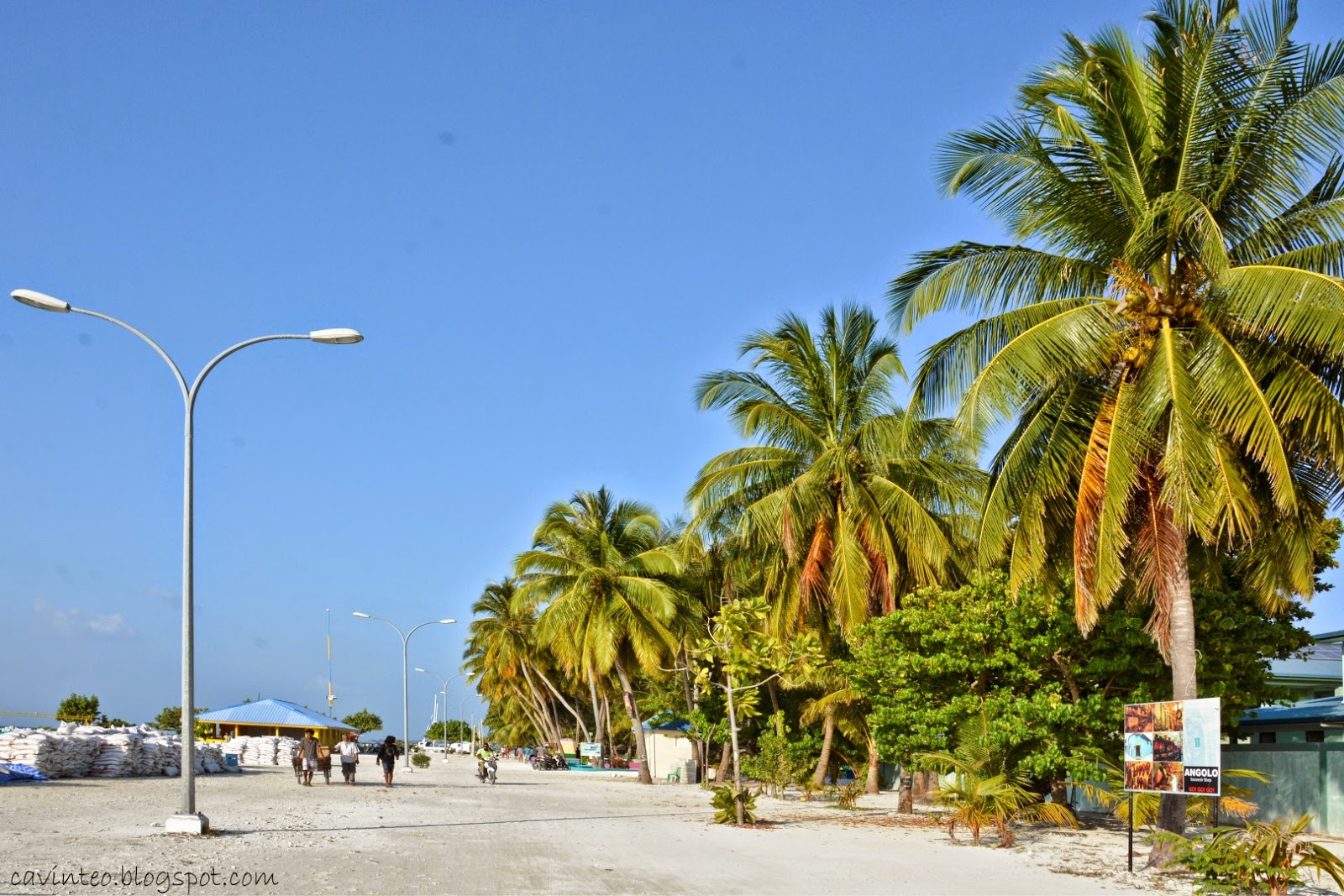 Entree Kibbles Maafushi The Local Island For Those With